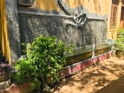 a wall with plants next to a building at Temple Flower Guest in Kirinda