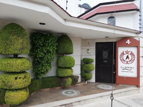 a building with green plants on the side of it at La Aurora Hotel Like Home in Huamantla