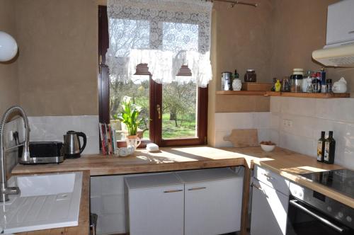 a kitchen with a counter with a window and a sink at Ferienhaus Caselow 23 in Bergholz