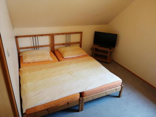 niewielka sypialnia z 2 łóżkami i telewizorem w obiekcie Apartment Veronika w mieście Přední Výtoň
