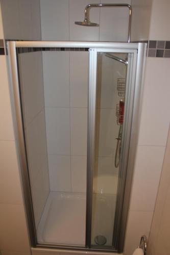 a shower with a glass door in a bathroom at Küstenzauber 20 in Großenbrode