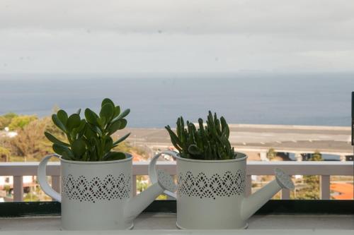 two mugs with plants in them sitting on a window sill at Villa SCIROCCO Madeira - Ocean View in Machico