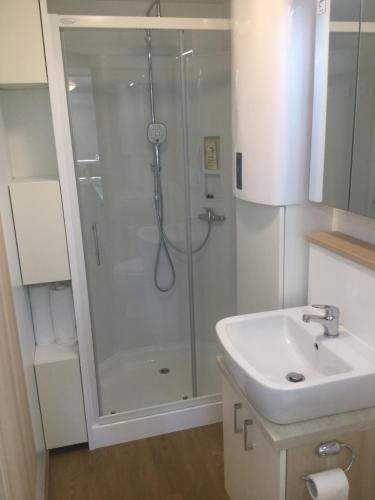 La salle de bains est pourvue d'une douche et d'un lavabo. dans l'établissement Floating Sea House SHARK 2, à Portorož