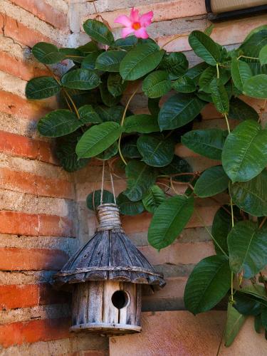 a bird house hanging on a wall with a plant at Hotel Santa Maria de Alquezar in Alquézar
