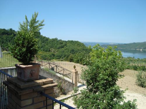 a person standing on a balcony with a view of a river at Poggio San Giacomo in Baschi