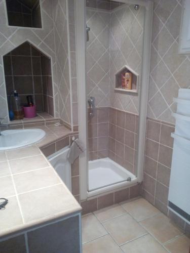 une salle de bain avec douche et lavabo dans l'établissement Appartement en bord de mer, à Port-la-Nouvelle