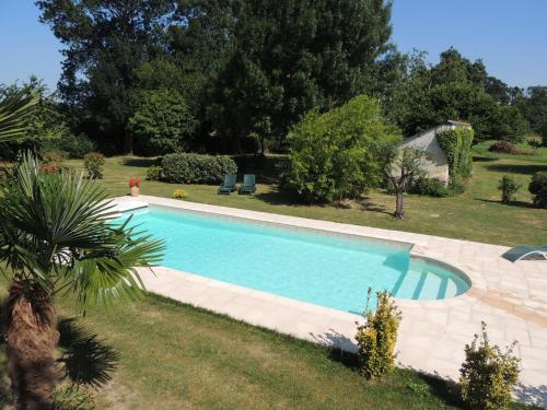 une piscine dans une cour avec un palmier dans l'établissement La Jarillais, à Saumur