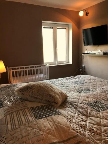 a bedroom with a bed and a tv and a window at Chalupa Na Žofíně in Horní Podluží