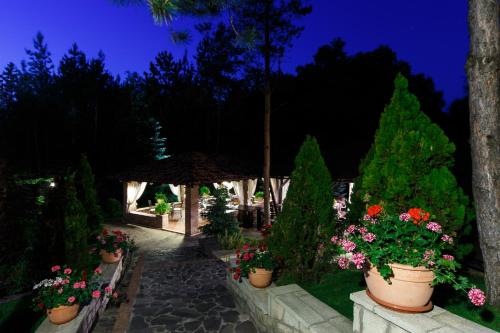 a garden with potted plants and flowers at night at Hotel Helen in Bacău