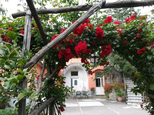 Antonio's House – Photos 2