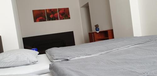 Postel nebo postele na pokoji v ubytování Apartmá na Hané