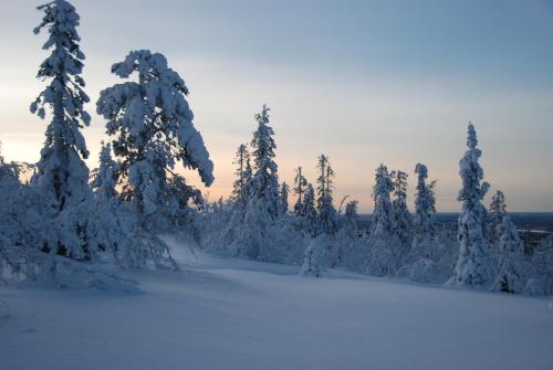 Lapland Hotels Kuopio talvella
