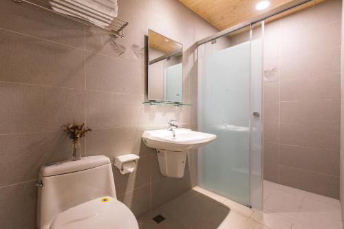 Un baño de Araucaria Residence