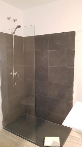 a bathroom with a shower with a glass wall at Basic Hotel Sevilla Catedral in Seville