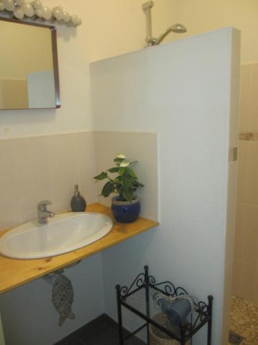uma casa de banho com um lavatório e uma planta em vaso num balcão em Gîte le Chêne du Py em Villié-Morgon