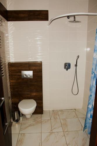 a bathroom with a toilet and a shower at Willa u Piotra in Sitno