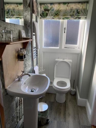 a small bathroom with a toilet and a sink at Pontyclerc Farm House Bed and Breakfast in Ammanford