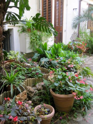 a garden with flowers and plants in pots at Lirma B&B in Cefalù