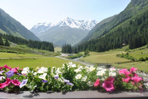 a view of a valley with flowers and mountains at Haus Margret in Sankt Leonhard im Pitztal
