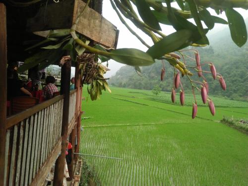 Zahrada ubytování Tran Xuan Homestay