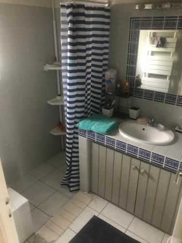 een badkamer met een wastafel en een spiegel bij la GRIERE in La Tranche-sur-Mer