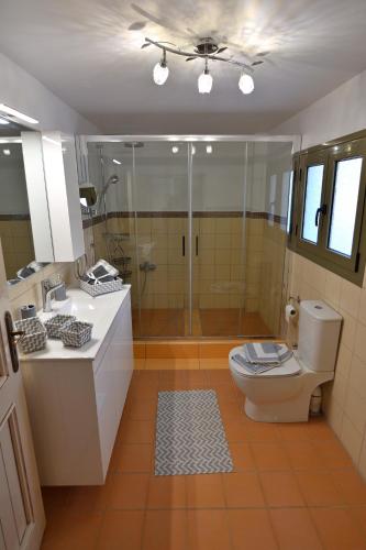 a bathroom with a toilet and a glass shower at Villa Ela Ferienappartements in Metaxáta