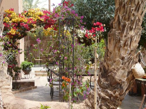 a garden filled with lots of different colored flowers at Dar Nakhla - Zagora guest house in Zagora