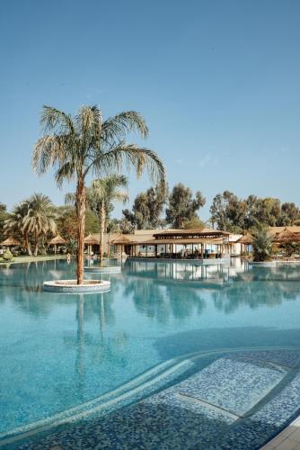 a palm tree in the middle of a swimming pool at Jolie Ville Hotel & Spa Kings Island Luxor in Luxor