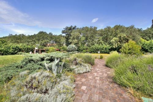 Apartment Branka - Monterol