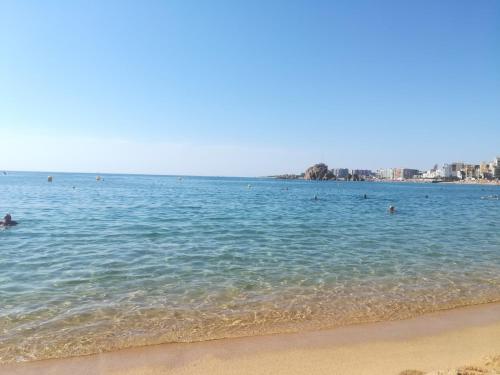 ブラナスにあるApartamento Blanes Nautic Portの海水浴場の人々