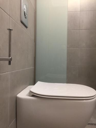 a bathroom with a white toilet and a shower at Blue Roses in Ixia