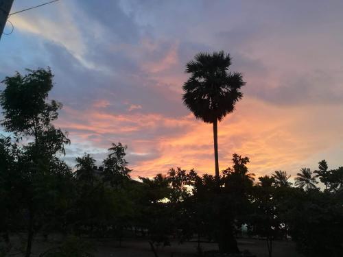 a palm tree in front of a sunset at Lobster Inn in Trincomalee