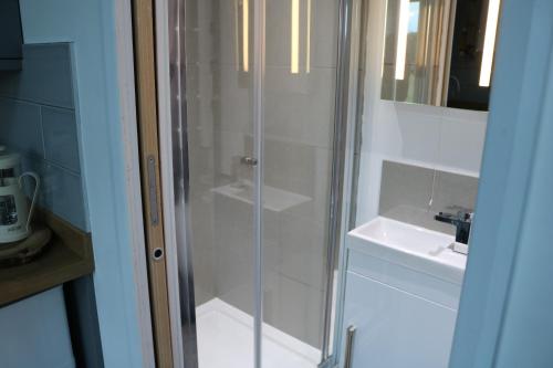 a glass shower in a bathroom with a sink at The Pump-House in Chichester