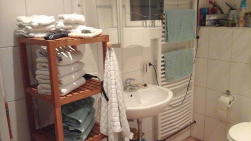 ein Badezimmer mit einem Waschbecken und einem Regal mit Handtüchern in der Unterkunft Gästezimmer am Deister in Springe