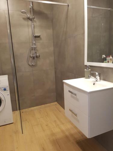 a bathroom with a shower with a sink and a toilet at Caskada Modern Apartment in Słupsk