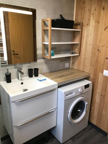 a bathroom with a washing machine and a sink at Le Chalet du Lac - Domaine de la Goujonne in Saint-Sauveur-lès-Bray