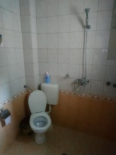 a bathroom with a toilet and a shower at Guest house Emmy in Trigrad