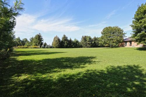 a large grassy field with trees in the background at King Hotel in Palmerston