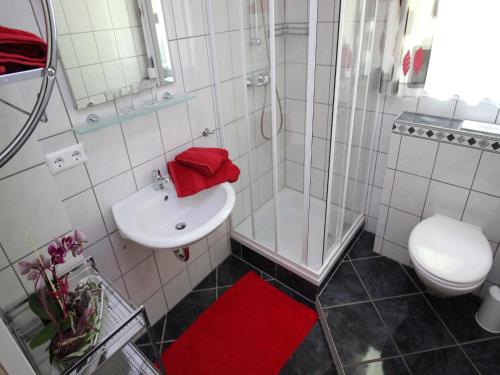 a bathroom with a shower and a sink and a toilet at Flattach Apartment 2 in Ausserfragant