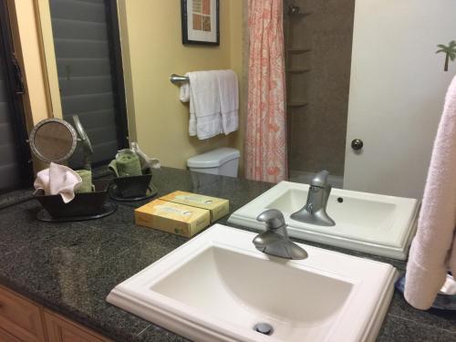 a bathroom counter with a sink and a mirror at 9B EKAHI VILLAGE-STUDIO BATH, GARDEN VIEW - 1 MINUTE STROLL to BEACH! in Wailea