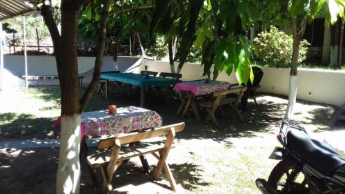 eine Gruppe von Tischen und Stühlen unter einem Baum in der Unterkunft Hostal El Balsamo in El Sunzal
