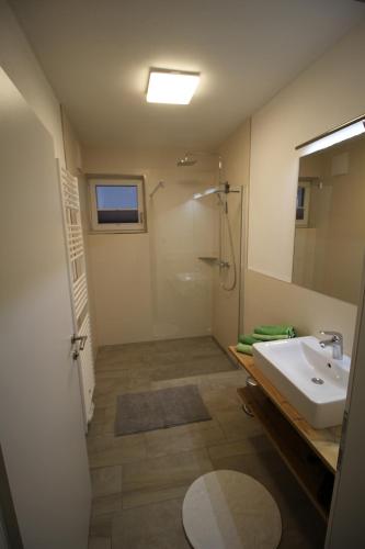 a bathroom with a sink and a shower and a mirror at Haus Intaba in Ramsau am Dachstein