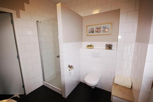 a bathroom with a toilet and a shower at Logies Taverne nearby Roermond, Thorn en Weert in Kelpen-Oler