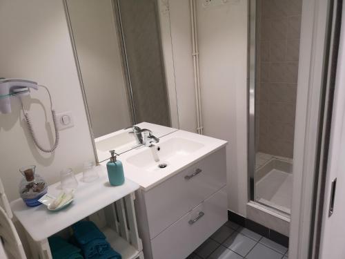 y baño con lavabo, espejo y ducha. en Cottage AU TERMINUS en Hautvillers
