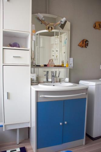 a bathroom with a sink and a mirror at Les volets bleus in Melle