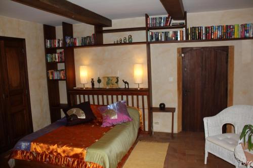 a bedroom with a bed and shelves of books at B&B Jardins de Vies in Flayosc