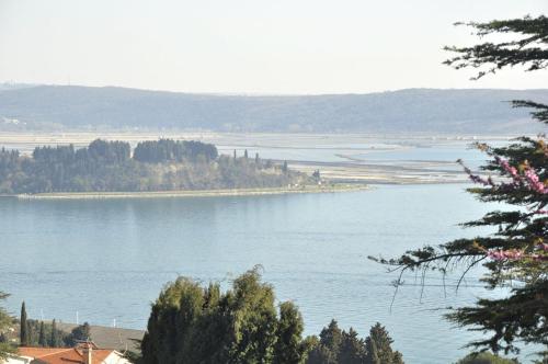 een uitzicht op een groot wateroppervlak met bomen bij BBP apartment in Portorož
