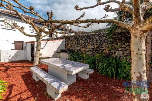 a bench next to a stone wall with a tree at Casa do Tio Jose in Doze Ribeiras