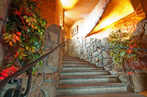 a staircase in a building with flowers and plants at Skalny Dworek in Nowy Targ