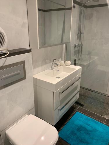 a bathroom with a sink and a toilet and a shower at Mauritius 11 in Knokke-Heist
